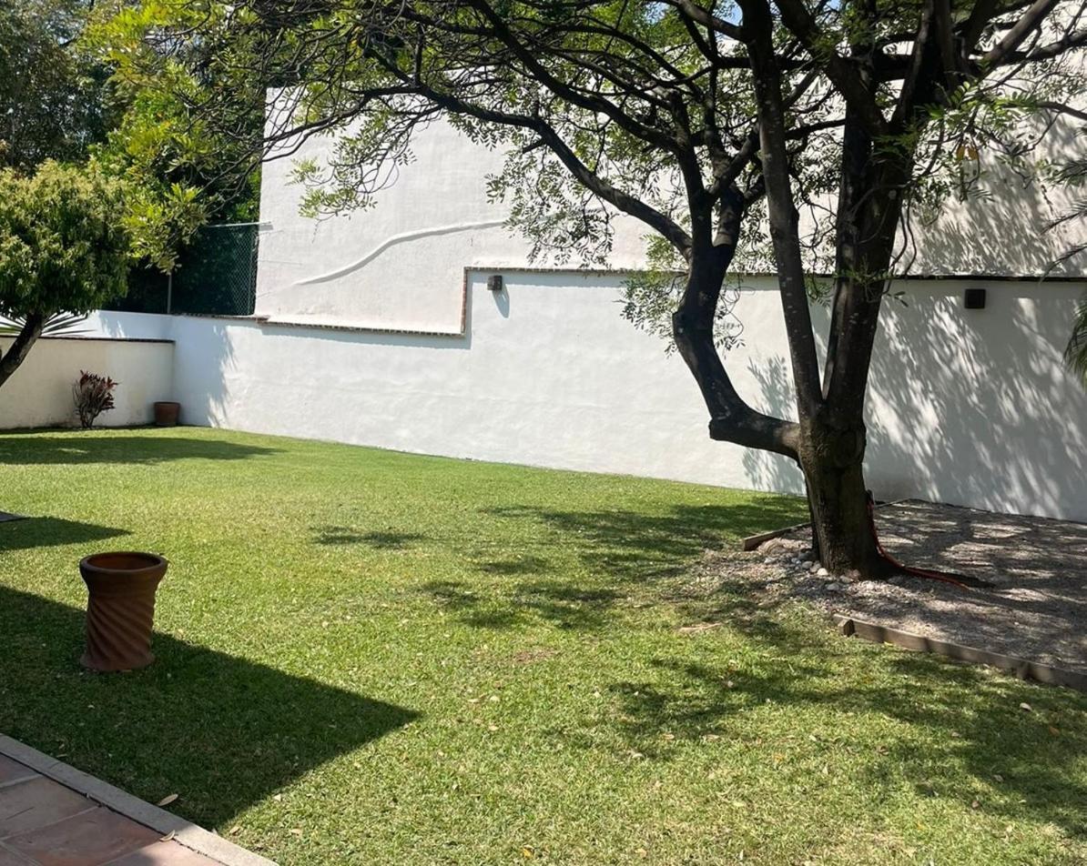 Las Iguanas Cuernavaca Luaran gambar