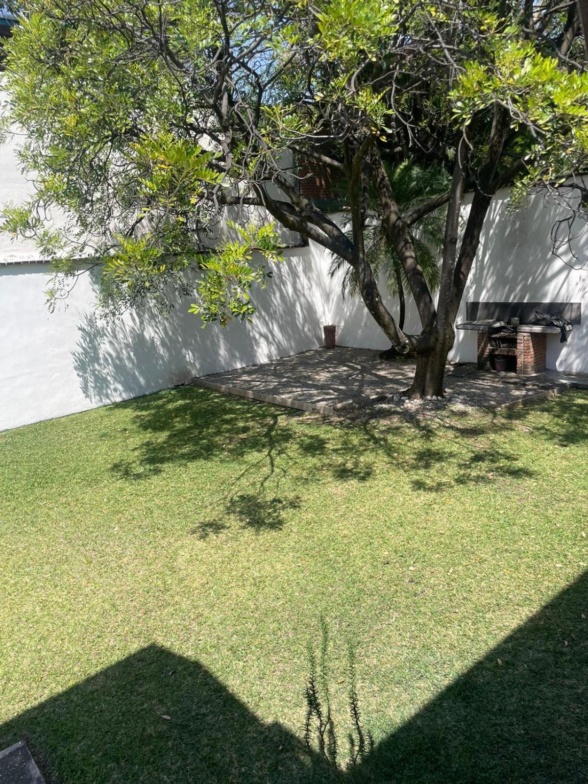 Las Iguanas Cuernavaca Luaran gambar